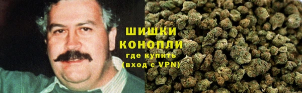 спайс Алексин