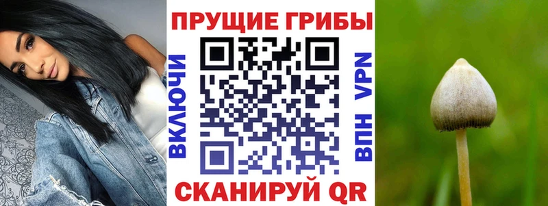 Псилоцибиновые грибы Magic Shrooms  магазин  наркотиков  Уварово 