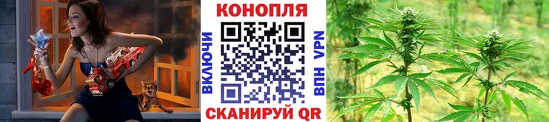 блэк спрут зеркало Уварово Канабис гибрид